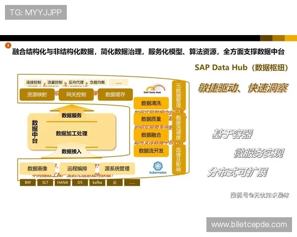 开云入口正式启用，开启奢华品牌数字化转型新篇章满足多元化消费需求