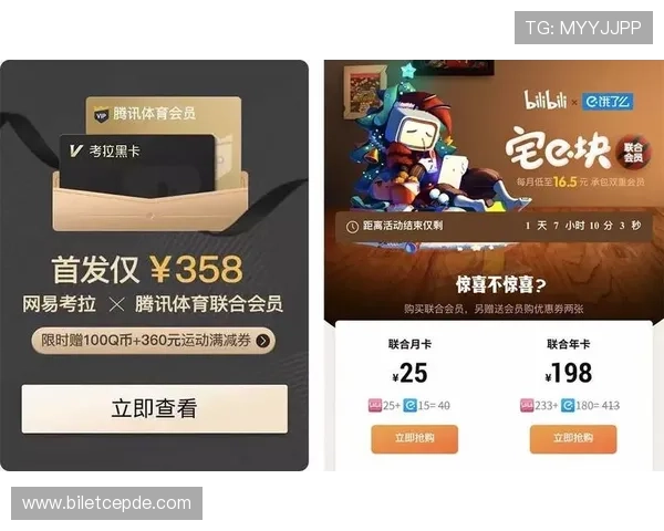 338体育平台的付费会员服务和优惠活动介绍满足不同用户需求